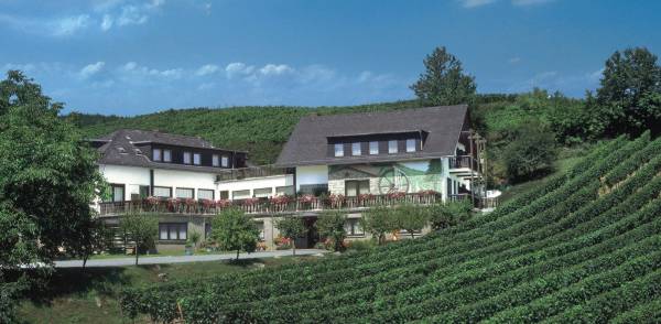 K�hns M�hle liegt romantisch in Mitten der rheingauer Weinberge